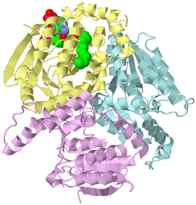 Image Biological Unit 2