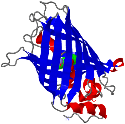 Image Asym./Biol. Unit