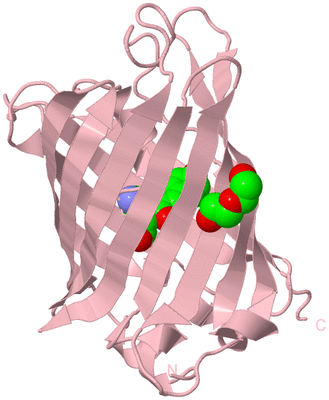 Image Biological Unit 3