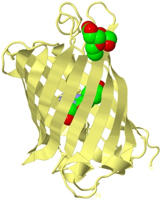 Image Biological Unit 4