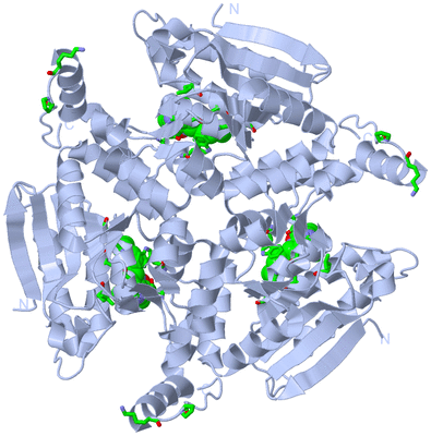 Image Biol. Unit 1 - sites