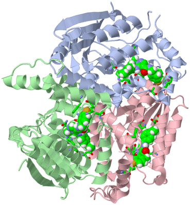 Image Asym./Biol. Unit - sites