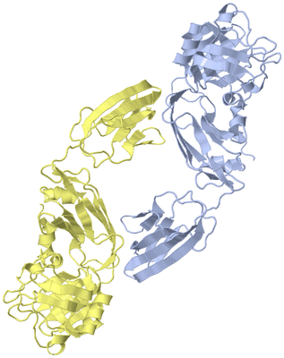 Image Biological Unit 5