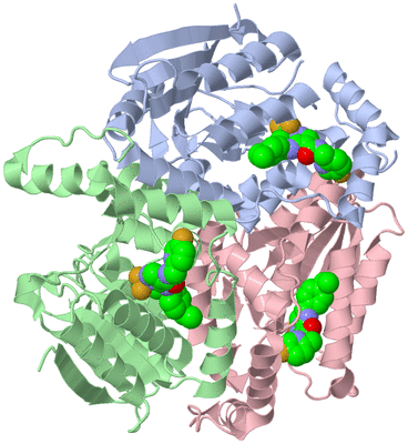 Image Asym./Biol. Unit