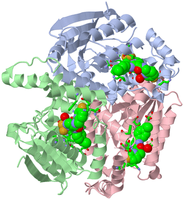 Image Asym./Biol. Unit - sites