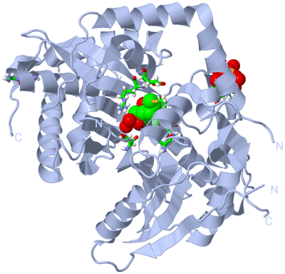 Image Biol. Unit 1 - sites