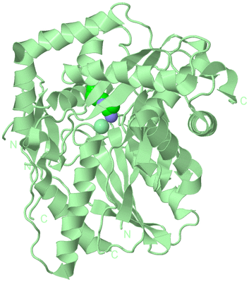 Image Biological Unit 2