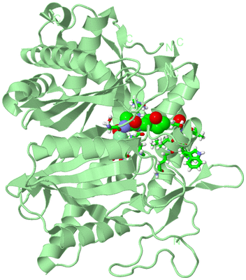 Image Biol. Unit 1 - sites