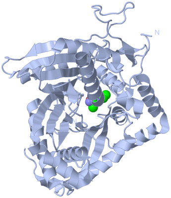 Image Biological Unit 2