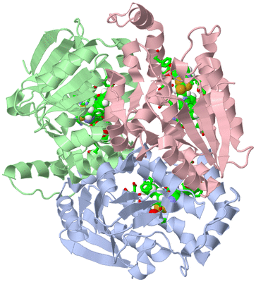 Image Asym./Biol. Unit - sites