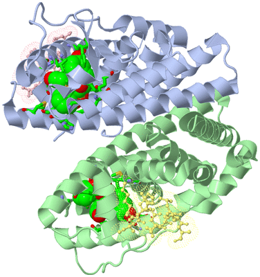 Image Asym./Biol. Unit - sites