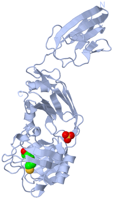 Image Biological Unit 1