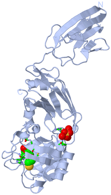 Image Biol. Unit 1 - sites