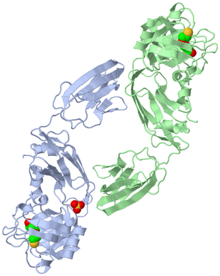 Image Biological Unit 3