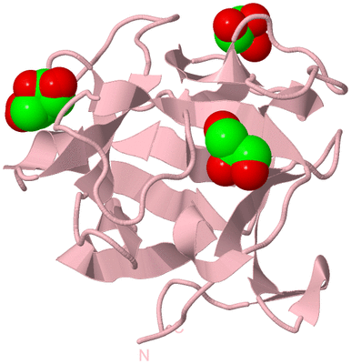 Image Biological Unit 3