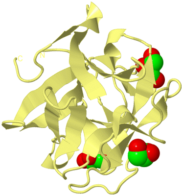 Image Biological Unit 4