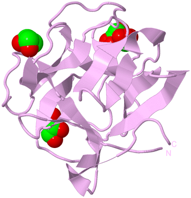 Image Biological Unit 5