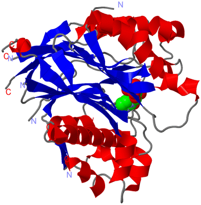 Image Asym./Biol. Unit