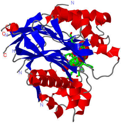 Image Asym./Biol. Unit - sites