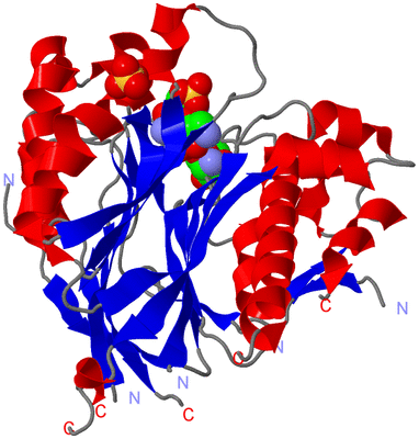 Image Asym./Biol. Unit