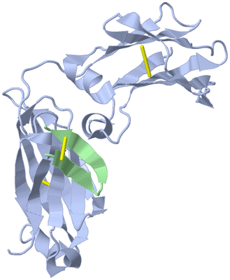 Image Asymmetric Unit