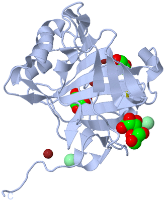 Image Biological Unit 1