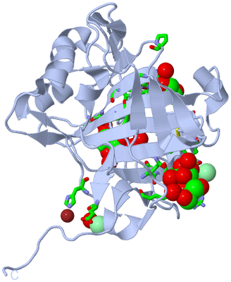 Image Biol. Unit 1 - sites