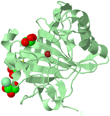 Image Biological Unit 2