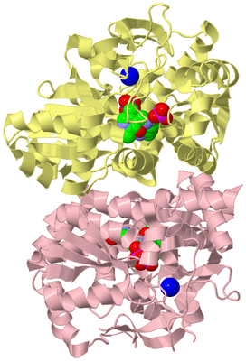 Image Biological Unit 2