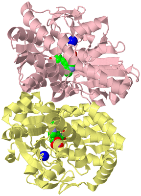 Image Biological Unit 2