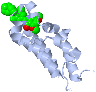 Image Biological Unit 1