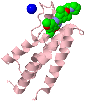 Image Biological Unit 3