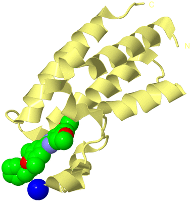 Image Biological Unit 4