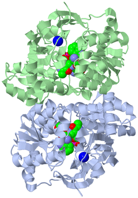 Image Biological Unit 1