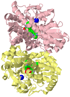 Image Biological Unit 2