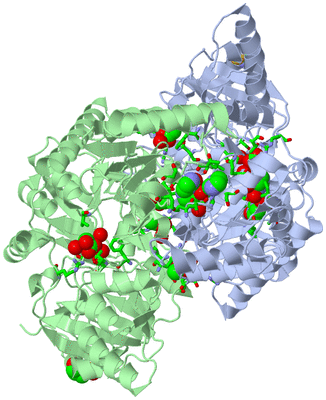 Image Asym./Biol. Unit - sites