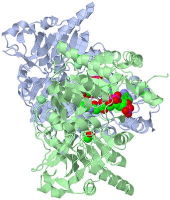 Image Asym./Biol. Unit