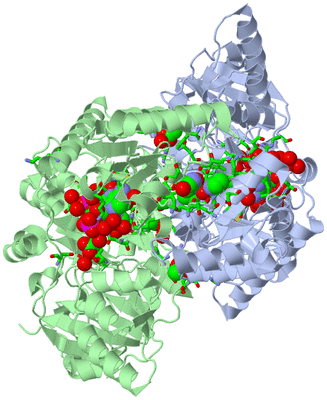 Image Asym./Biol. Unit - sites