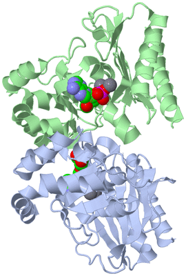 Image Asym./Biol. Unit