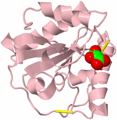 Image Biological Unit 3