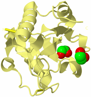 Image Biological Unit 4