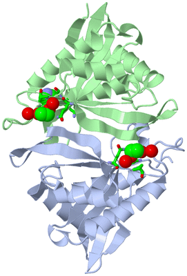 Image Biol. Unit 1 - sites