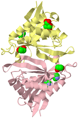 Image Biological Unit 2