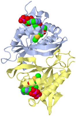 Image Biological Unit 1