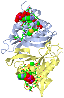 Image Biol. Unit 1 - sites