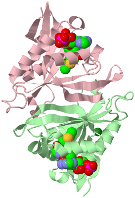 Image Biological Unit 2