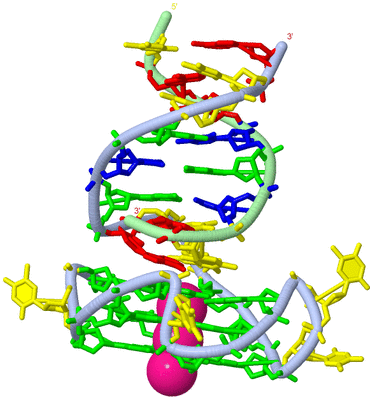 Image Biological Unit 1