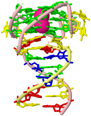 Image Biological Unit 2