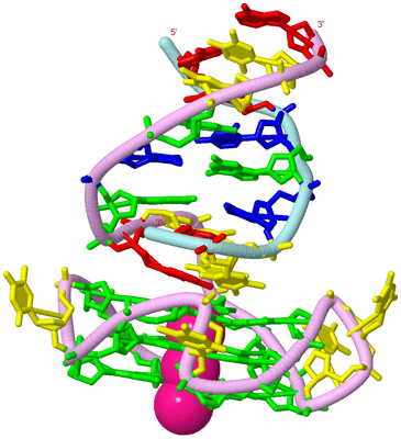 Image Biological Unit 3