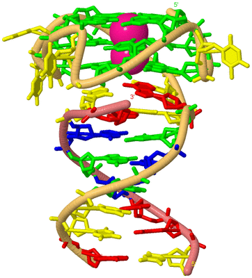 Image Biological Unit 4